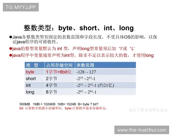 UFC 入门指南：规则、量级与术语详解